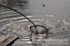 www.rusfishing.ru 1-й тур ЛКЛ 2015 - фото - 291.jpg