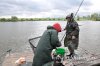 www.rusfishing.ru Рыбалка с Русфишинг Ловля карпа 1 тур ЛКЛ 2016 - 267.jpg