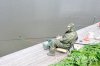 www.rusfishing.ru Рыбалка с Русфишинг Ловля карпа 1 тур ЛКЛ 2016 - 320.jpg