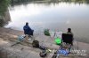 www.rusfishing.ru Рыбалка с Русфишинг Ловля карпа 2 тур ЛКЛ 2016 - 288.jpg