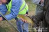 www.rusfishing.ru Рыбалка с Русфишинг Ловля карпа 4 тур ЛКЛ 2016 - 428.jpg