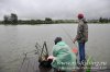 www.rusfishing.ru Рыбалка с Русфишинг Ловля карпа 5 тур ЛКЛ 2016 - 188.jpg
