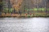 www.rusfishing.ru Рыбалка с Русфишинг Щучьи Забавы 2016 осень - 368.jpg