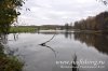 www.rusfishing.ru Рыбалка с Русфишинг Щучьи Забавы 2016 осень - 418.jpg