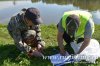 www.rusfishing.ru Рыбалка с Русфишинг Щучьи Забавы 2017 весна - 395.jpg