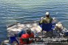 www.rusfishing.ru Рыбалка с Русфишинг Чемпионат по Ловле Карпа 1-й тур ЛКЛ 2017 - 499.jpg