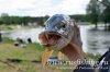 www.rusfishing.ru Рыбалка с Русфишинг Чемпионат по Ловле Карпа 3-й тур ЛКЛ 2017 - 510.jpg