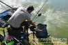 www.rusfishing.ru Рыбалка с Русфишинг Чемпионат по Ловле Карпа 5-й тур ЛКЛ 2017 - 367.jpg