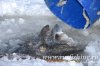 www.rusfishing.ru Рыбалка с Русфишинг Чемпионат 2-тур ЛОВЛЯ ФОРЕЛИ 2018 - 163.jpg