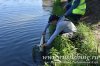 www.rusfishing.ru Рыбалка с Русфишинг Кубок Русфишинга ВЕСЕННИЙ КАРП 2018 - 402.jpg