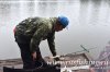 www.rusfishing.ru Рыбалка с Русфишинг ЛЕТНИЙ КАРП 2018 - 362.jpg