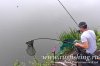 www.rusfishing.ru Рыбалка с Русфишинг ЛЕТНИЙ КАРП 2018 - 384.jpg