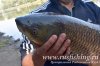 www.rusfishing.ru Рыбалка с Русфишинг ОСЕННИЙ КАРП 2018 - 284.jpg