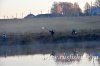 www.rusfishing.ru Рыбалка с Русфишинг ЩУЧЬИ ЗАБАВЫ 2018 Осень - 227.jpg
