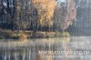 www.rusfishing.ru Рыбалка с Русфишинг ЩУЧЬИ ЗАБАВЫ 2018 Осень - 287.jpg