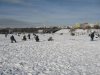 Битва пингвинов 2010 030.jpg