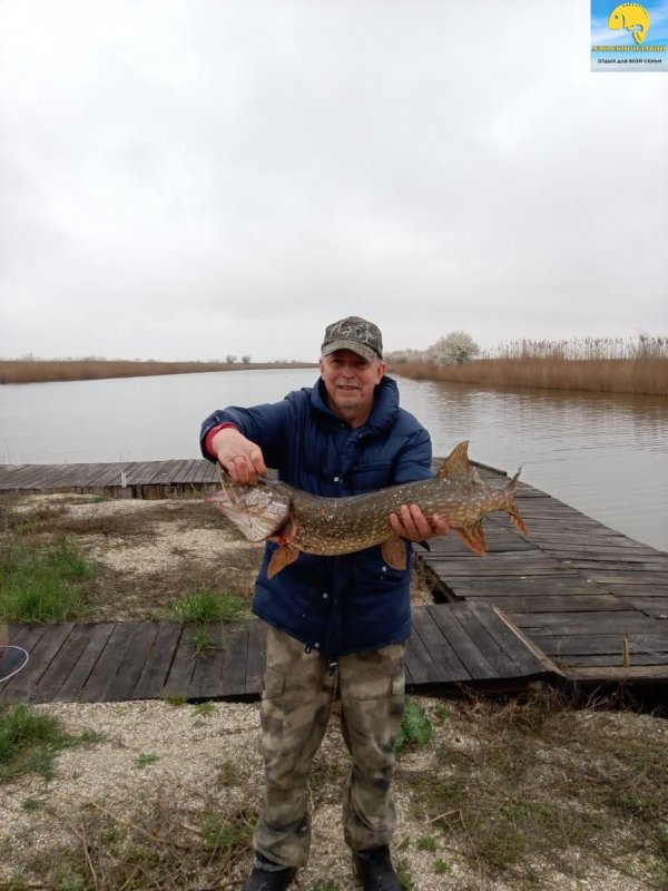 Рыбалка на щуку в Краснодарком крае на базе отдыха Азовские плавни, весна апрель 2021 (2).jpeg
