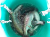 IMG-20220909-WA0003.jpg