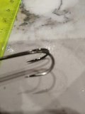 IMG_20221009_182427.jpg