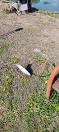 20230509_092447.jpg