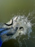 c3331579-4977-4d8a-98f9-8e0afecda8eb.jpeg