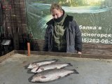 IMG_2334.jpeg