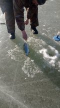 IMG_20250323_085920.jpg