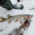 IMG_20250411_101632.jpg