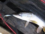 IMG_0724.JPG