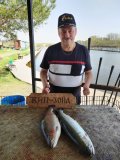IMG_20250423_131734.jpg