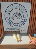 IMG-20250506-WA0006.jpg
