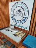 IMG-20250509-WA0044.jpg