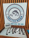 IMG-20250514-WA0007.jpg