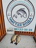 IMG-20250517-WA0031.jpg