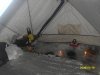 SDC12552.jpg