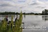 www.rusfishing.ru 4-й тур ЛКЛ 2015 (ловля карпа) - рыбалка фото - 300.jpg