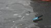 DSC07957.jpg