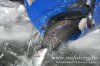 www.rusfishing.ru 1-й тур Чемпионата Русфишинга по зимней ловле ФОРЕЛИ 2016 - 134.jpg