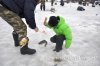 www.rusfishing.ru 4-й тур Чемпионата Русфишинга по зимней ловле ФОРЕЛИ 2016 - 1357.jpg