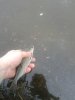 2016-05-02 07.50.55.jpg