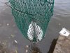 DSCF4605.jpg