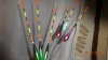 DSC01183.jpg