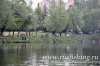 www.rusfishing.ru Рыбалка с Русфишинг Чемпионат по Ловле Карпа 1-й тур ЛКЛ 2017 - 229.jpg