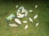 DSC05177.jpg