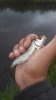 20170830_154427.jpg