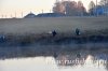 www.rusfishing.ru Рыбалка с Русфишинг ЩУЧЬИ ЗАБАВЫ 2018 Осень - 228.jpg