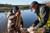 www.rusfishing.ru Рыбалка с Русфишинг ЩУЧЬИ ЗАБАВЫ 2018 Осень - 341.jpg
