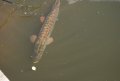 DSC_8484.JPG