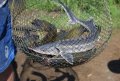 DSC_8618.JPG