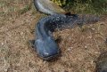 DSC_8658.JPG